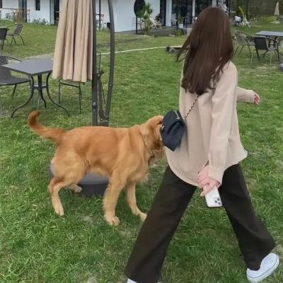 凯伦·皮里第二季